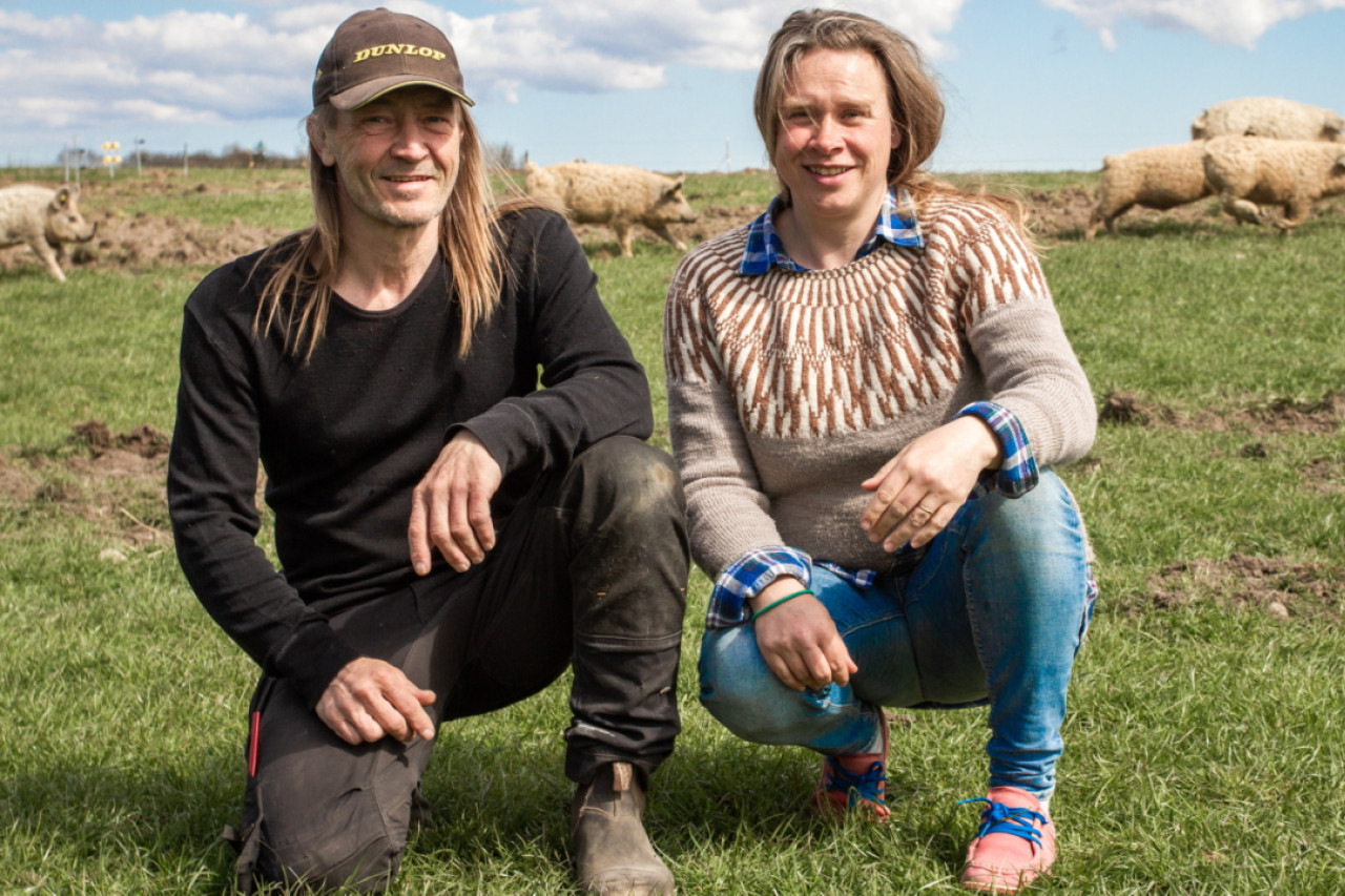 Kent Nielsen og Maria Bojsen på en af Birtesmindes marker med grise i baggrunden.
